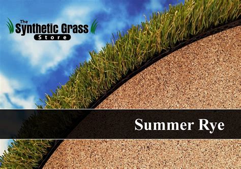 Summer Rye Synthetic Grass Anaheim California