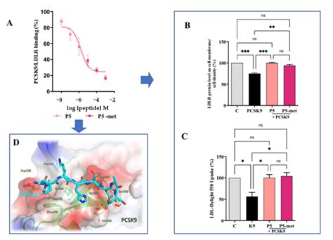 Inhibition Of The Ppi Between Pcsk And Ldlr A Impairment Of The