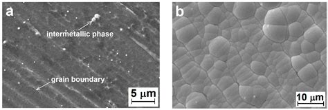 Coatings Free Full Text Characterization Of Electroless Nip