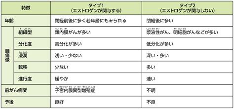 子宮の構造と子宮体がん 子宮体がん Msd Oncology がんを生きる