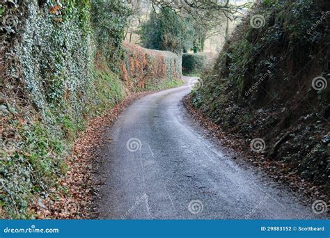 Narrow country lane road stock photo. Image of hedge - 29883152