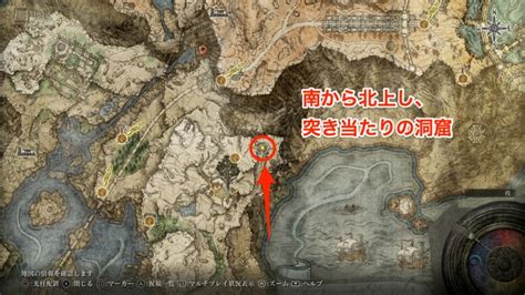 【エルデンリング】黒き刃の刺客の攻略と立ち回り ゲームウィズ