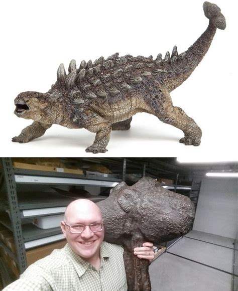 Ankylosaurus are awesome! : r/Paleontology