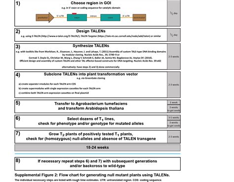 Germline Transmitted Genome Editing In Arabidopsis Thaliana Using Tal