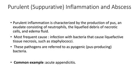 Acute Inflammation Pptx