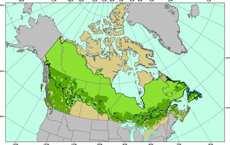 Boreal Forest Canada Map - Black Sea Map