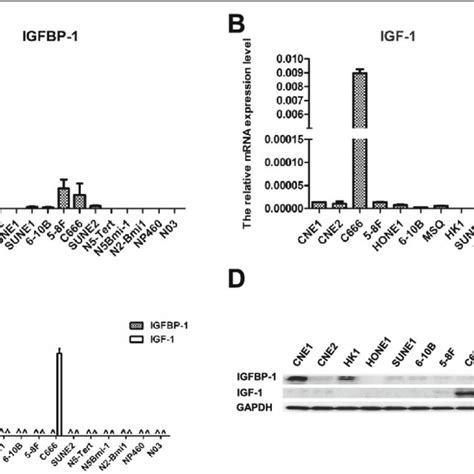 Expression Of Igfbp 1 And Igf 1 In Npc And Immortalized Nasopharyngeal Download Scientific