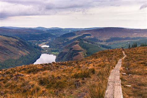 Spink Boardwalk On Spink Overlooking Glendalough Co Wic Flickr