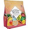 Buy LAFEBER S Tropical Fruit Gourmet Pellets Pet Bird Food No Added