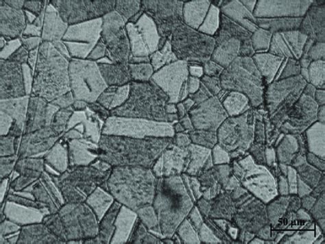 Microstructure of parent brass sheet. | Download Scientific Diagram