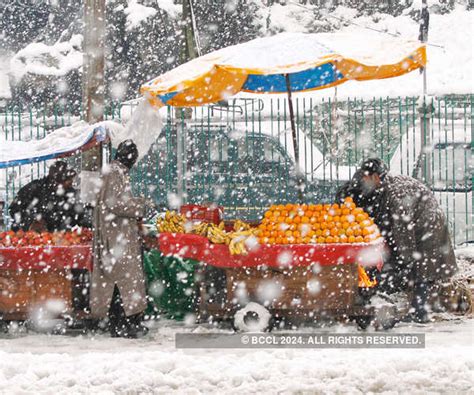 Kashmir Receives Fresh Snowfall Photogallery Etimes