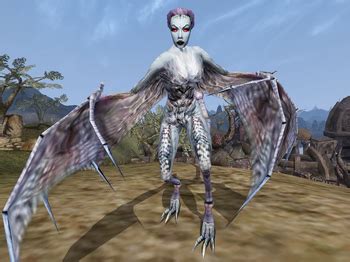 Winged Twilight Morrowind Elder Scrolls Fandom Powered By Wikia