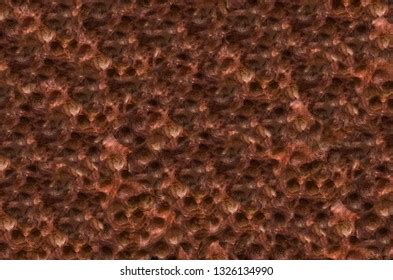 cupric images stock  vectors shutterstock