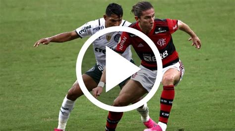 Ver En Vivo Palmeiras Vs Flamengo D Nde Seguir Por Tv Y Online La