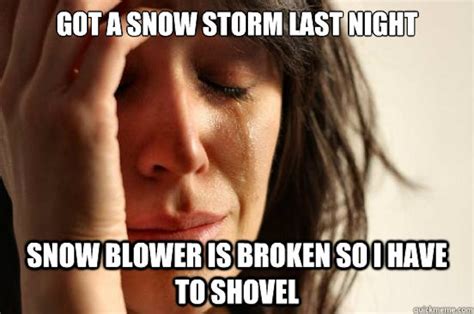 16 Epic Snow Shoveling Memes To Help You Laugh Through The Pain Of ...