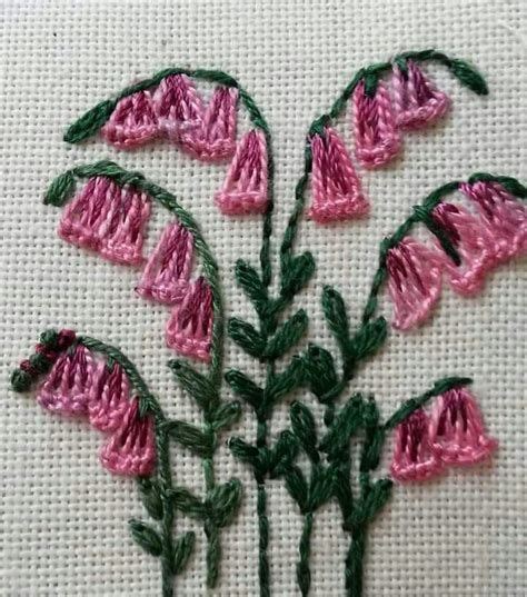 Fotos De Elza Chitko Em Bordados F Simple Hand Embroidery Patterns