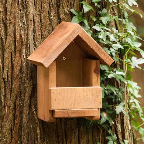 Apex Robin Box The Nestbox Company