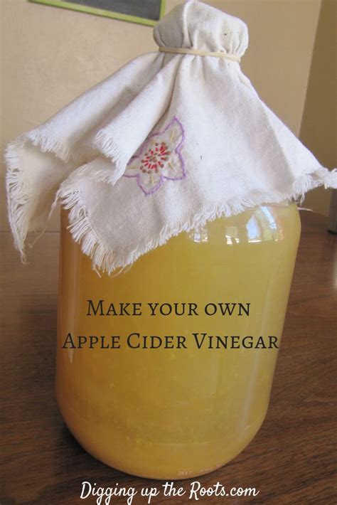 Make Your Own Apple Cider Vinegar It S Cheap Easy And Rewarding It