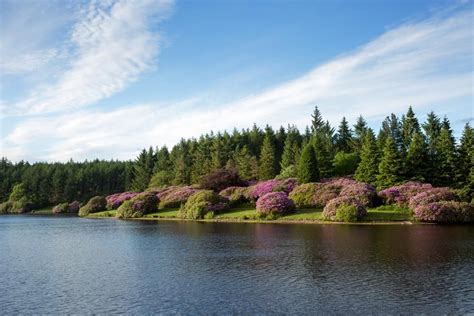 √ Dartmoor National Park England