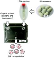 Microfluidic Assisted Silk Nanoparticle Tuning Nanoscale Advances