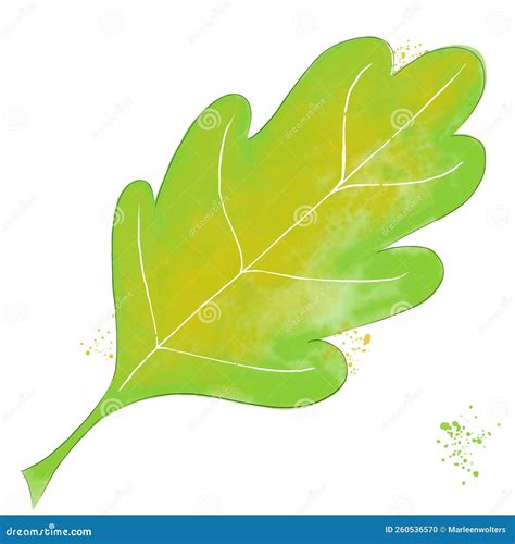 Watercolor Illustration of a Leaf Stock Photo - Illustration of ...