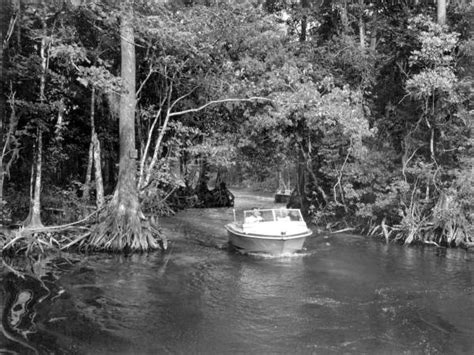 Florida Memory Two Motorboats Coast Down The Oklawaha River