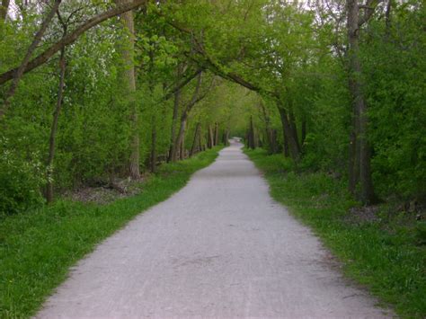 Top 3 Scenic Dog Walking Routes in Naperville | The Out-U-Go! Blog