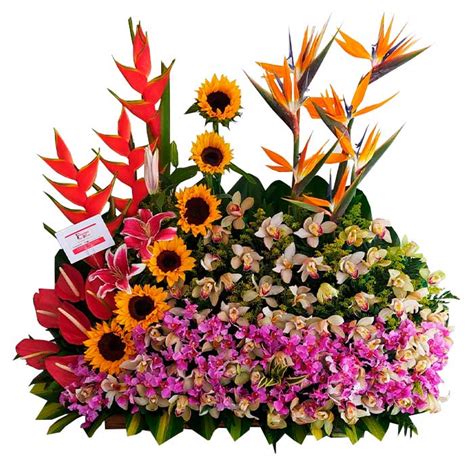 Arreglos Florales Elegantes Entregas Hoy Florister A Cali