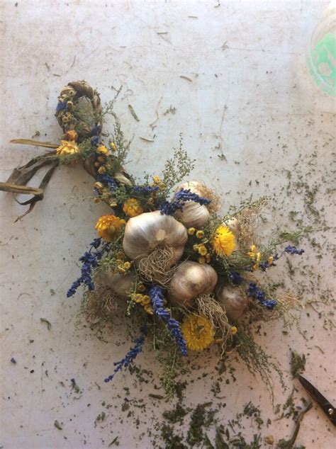 Garlic Braiding Workshop - Maine Organic Farmers and Gardeners