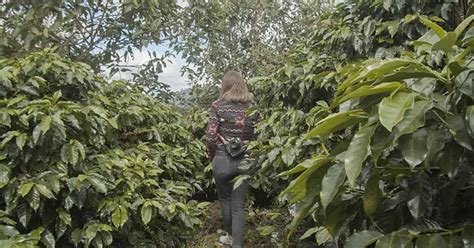 Travel To Origin | Odyseacoffee