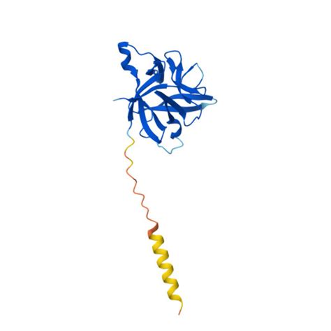 Rcsb Pdb Af Afq F Computed Structure Model Of Interleukin