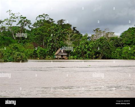 The Amazon River Peru In South America Stock Photo Alamy