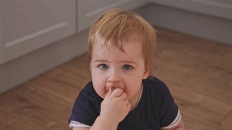 530 Fotos De Obesidad Infantil Fotografías De Stock Fotos E Imágenes Libres De Derechos Istock