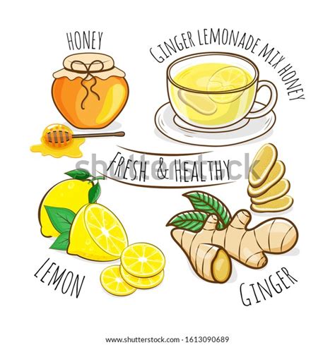 99 Lemon Ginger Honey Juice Stock Vectors And Vector Art Shutterstock