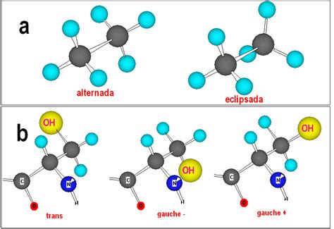 Lección 3. Enlace peptídico y estructura secundaria – Estructura de ...