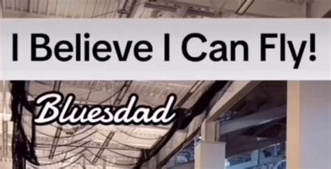 I Believe I Can Fly! - Bluesdad