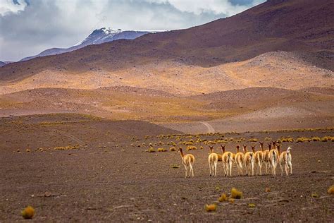 Atacama Region Background Images, HD Pictures and Wallpaper For Free Download | Pngtree