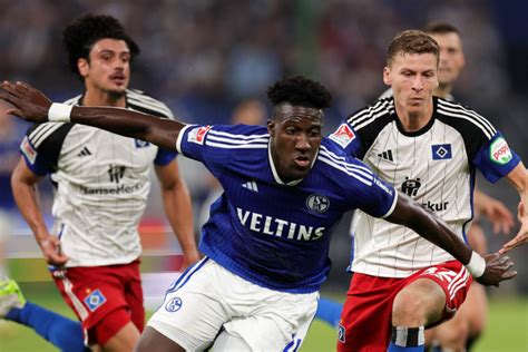 Hsv Spektakel Gegen Schalke So Liefen Die Debüts Der Neuzugänge