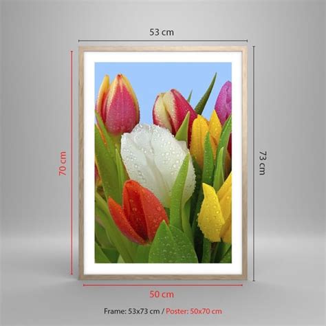 Obraz Plakat Kwiatowa T Cza W Kroplach Rosy X Cm Tulipany