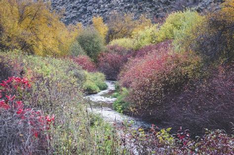 2014/10/25 - Cowiche Canyon / 考維其峽谷