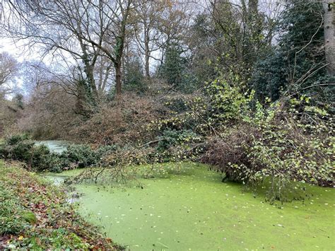 Canal Cutting At Up Nately Mr Ignavy Cc By Sa 2 0 Geograph Britain