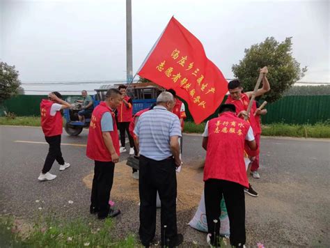 商水汤庄乡：“抢”字当头跑出“三夏”生产加速度 中华龙都网 周口报业传媒集团主办 河南省重点新闻网站