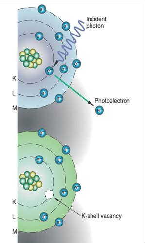 Chapter X Ray Interactions Flashcards Quizlet