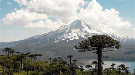 Conheça 7 vulcões mais ativos do Chile para prática de montanhismo