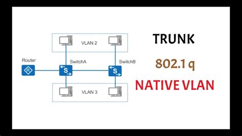 What Is A Trunk Dot Q Native Vlan Ccna Youtube