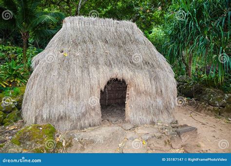 Hut And Figures Traditional Hawaii Stock Image Image Of Grass Hawaiian 35187147