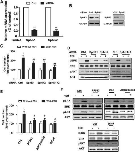 Sphk And Sphk Played Equal Roles On Cell Proliferation Stimulated By