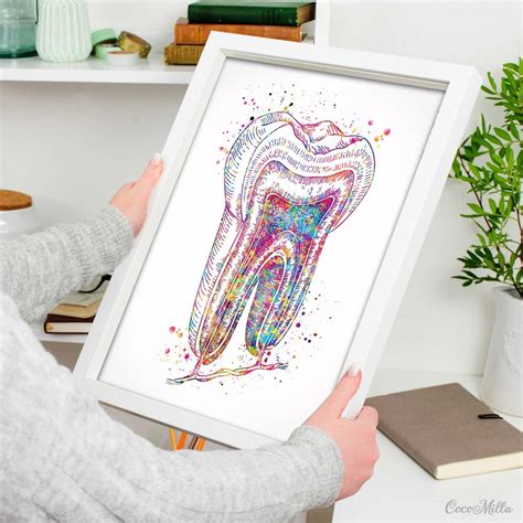 Tooth Cross Section Watercolor Print Molar Tooth Anatomical Etsy Uk