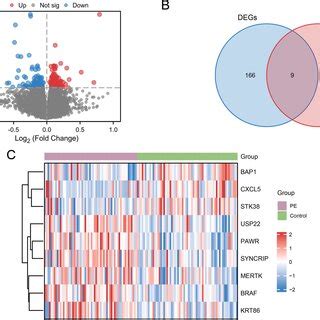 Combined Datasets Differential Gene Expression Analysis A The Volcano