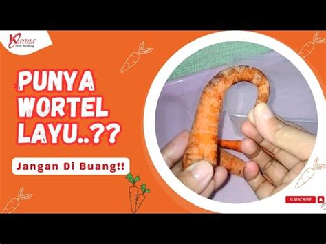 Wortel Layu Bisa Segar Kembali Dengan Cara Ini Seneng Banget Jadi